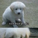 홍 - 하남시 미사강변북로 32 | 홍