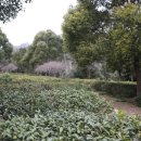 설아다원 이미지