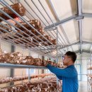 로이농장2 이미지