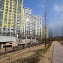 천성산다목적체육관(배드민턴, 탁구, 농구) | 갑천3블럭 트리풀시티 레이크포레 커뮤니티시설 솔직 후기 | 실제 입주민이 느낀 삶의 변화