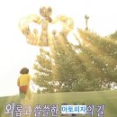 G4-1 | [공지] 아토피인줄 알았더니 알러지^^? lgG4 지연성 알러지검사 후기 [1편]