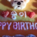 퍼피야미 이미지