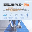 ‘출연 동물 보호 가이드라인 마련 1차 협의회’ 참석 후기