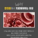 자은한의원 네이버블로그