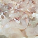 자연횟집 이미지