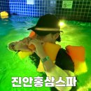 성일모텔 | 전라도 진안 홍삼스파 : 이색 가볼만한 곳 추천 🏊 복장은 이렇게 수영복 대여 후기