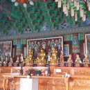 서호중학교 이미지