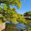 유당공원(주차장) 이미지