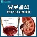 요로메디 이미지