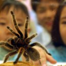 시드씨(주) 이미지