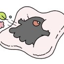 나이키 안성점 이미지