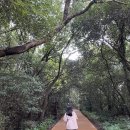 2. 갑자기 제주 4박5일 (엄블랑짬뽕, 산양큰엉곶, 엉알해안, 도구리알, 루나폴)