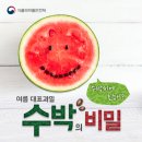 수박씨 이미지