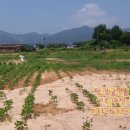 여주이포공인중개사사무소 이미지