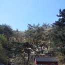 무학사절 Daum카페