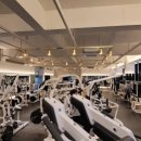 바디팰리스짐 이미지