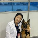 더프라임동물의료원 이미지