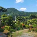 캠핑스토리 이미지