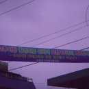 관촌고추 Daum카페