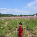 [경기파주]임진각 평화누리공원(대형 놀이터)에 꼭 가보세요!