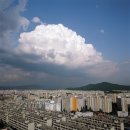 태양환경개발㈜ | 음성 공장부지 전원주택 땅매매 부동산중개 태양부동산투자개발