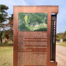 김억추 신도비와 현무묘 | 조선왕릉 문화제 제4대 세종 영릉