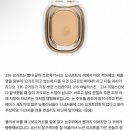 바닐라스킨 이미지