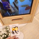 프로젝트렌트 2호점