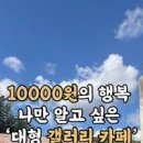 공주여행 갑사가는길 산임 숲 갤러리카페 이미지