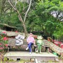 용천사 치유센터 이미지