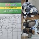 [평택] 헌옷, 문 앞에 내놓고 돈버는 꿀팁 👕💰