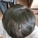 전국머리자랑 이미지