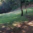 송산면사무소 이미지