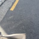 경희세탁소 이미지