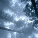 사무자동화산업기사_실기_기출문제 이미지