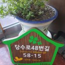 우드앤사인 이미지
