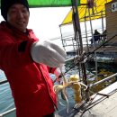 훼미리호좌대낚시터 이미지