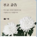 [박효찬 회장님 부군께서 별세하셨습니다] 이미지