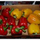 거제면사무소 이미지