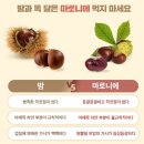 마로니에 이미지