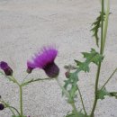 둥지농장2 이미지