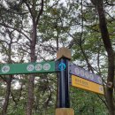 김포국제조각공원 | 통일의 메시지를 전하는 세계 유일의 테마 김포국제조각 공원