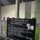 지에스(GS)25 인제서화점 | 인제 스피디움 리조트 먹방 가이드, 자담치킨 치요링 X 방탄 진 아이긴 하이볼 조합