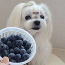 매일슈퍼 이미지