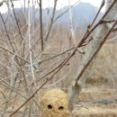 동무지농장 네이버블로그