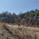 신바람영농조합법인 이미지