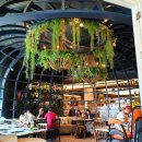 아낙네녹색푸드 | 2019 방콕 4박5일 Day3_엠쿼티어 룩카이통(미슐랭맛집).아이콘시암 팁싸마이분점.아시아티크.