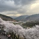 양산편한약국 | 몇일 전 언급한, 5년만에 찾아온, 기력이 떨어진 어르신의 몇일 드신 후기 ( 105화 )