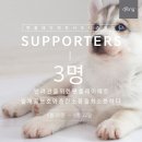 플레이펫 이미지