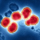 보편성을 향한 기회: NIH, 궁극적인 독감 백신에 대한 임상 시험 시작 이미지